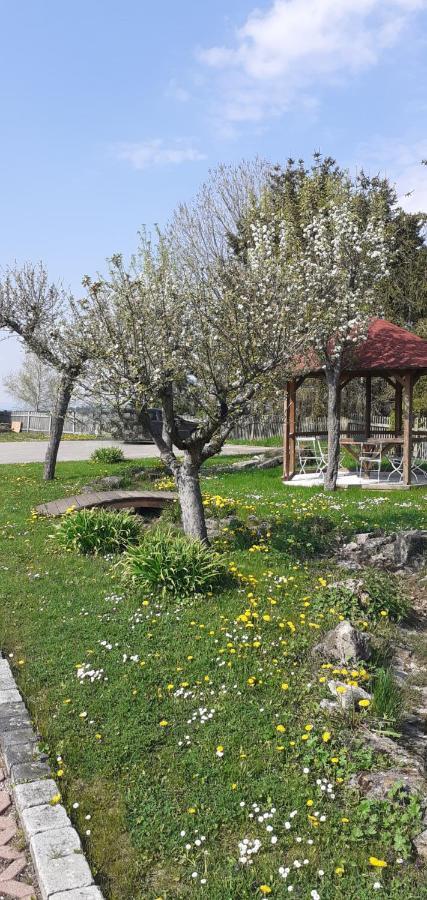 B&B Talstation Horselberg-Hainich Екстериор снимка