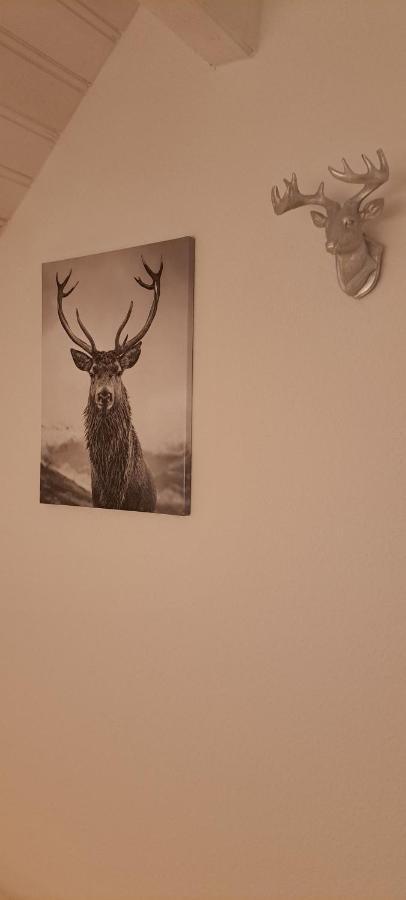B&B Talstation Horselberg-Hainich Екстериор снимка