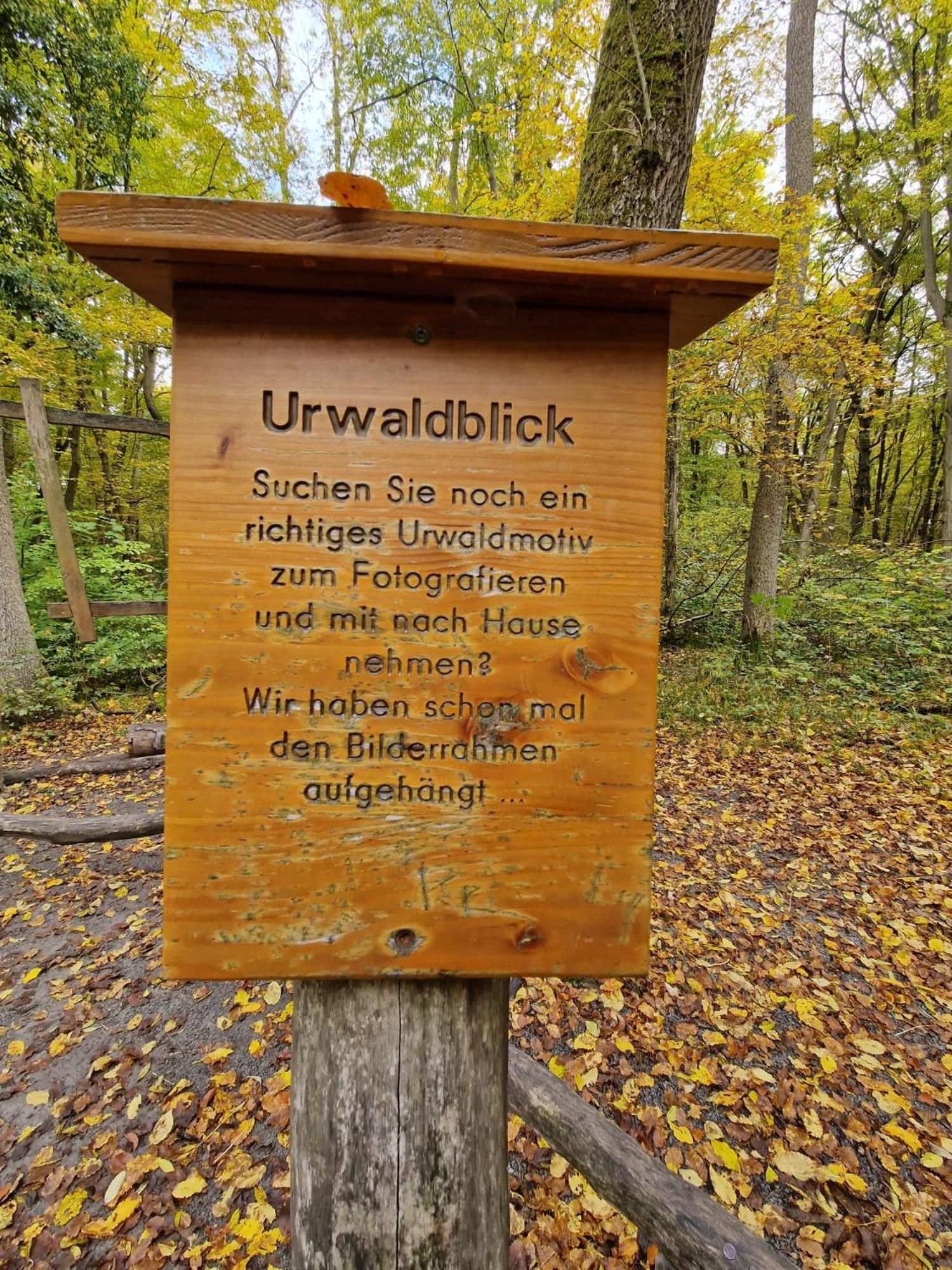 B&B Talstation Horselberg-Hainich Екстериор снимка
